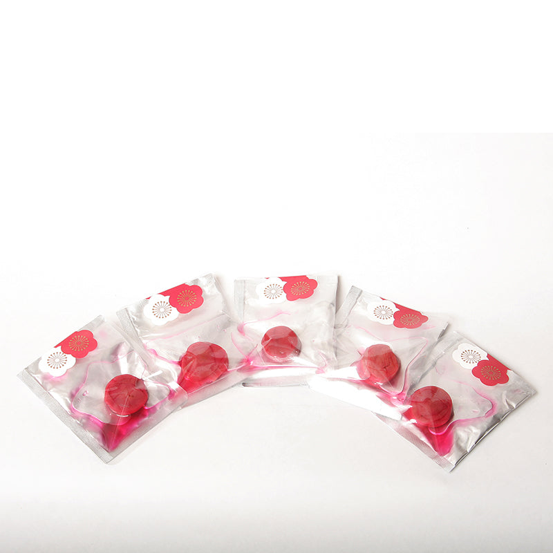 梅茶漬け 5食入り 梅昆布茶 40ｇ×2個 ギフト箱入り ギフト プレゼント