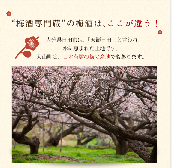かぼす梅酒 720ml 熟成梅酒ゆめひびき 720ml 各１本  梅ギフト箱入り ギフト プレゼント