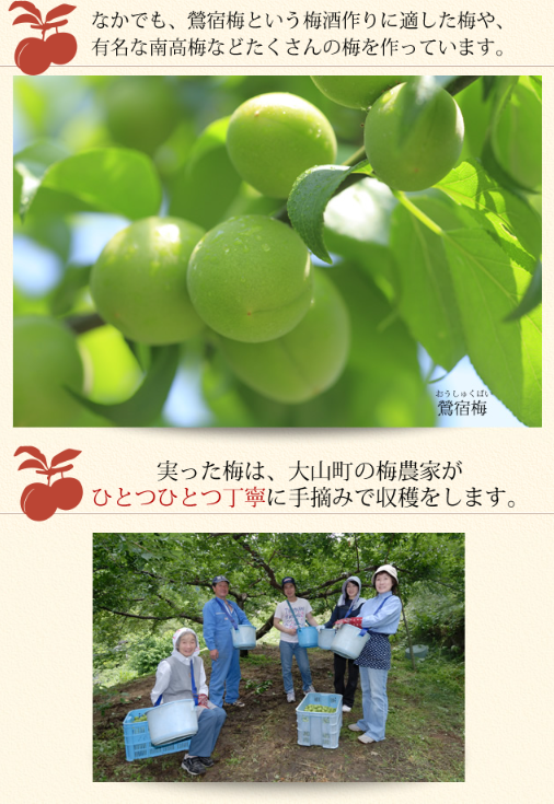 かぼす梅酒 720ml 熟成梅酒ゆめひびき 720ml 各１本  梅ギフト箱入り ギフト プレゼント