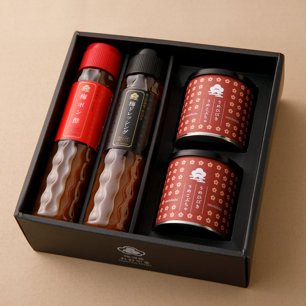 梅ドレッシング 200ml×1本 梅ポン酢 200ml×1本 梅昆布茶 40ｇ×2個 ギフト箱入 プレゼント
