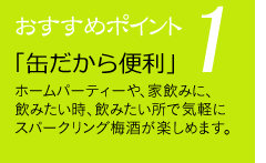 スパークリング梅酒 250ml 梅酒  ギフト プレゼント