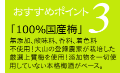 スパークリング梅酒 250ml 梅酒  ギフト プレゼント