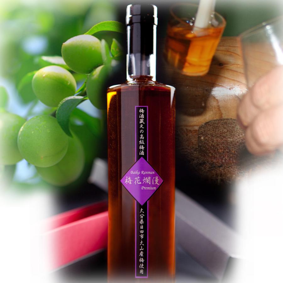梅花爛漫プレミアム 500ml 梅酒おおやま 500ml 各１本 ギフト箱入 ギフト プレゼント