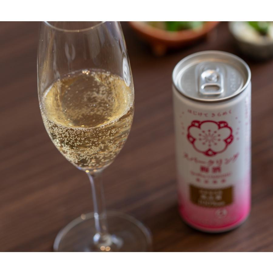 スパークリング梅酒 ゆずはちみつ 各５本入り ギフト箱入り ギフト   飲み比べ プレゼント