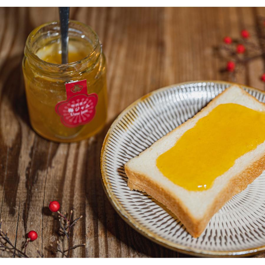 梅ジャム 梅酒蔵の 梅 ジャム 120g ギフト プレゼント