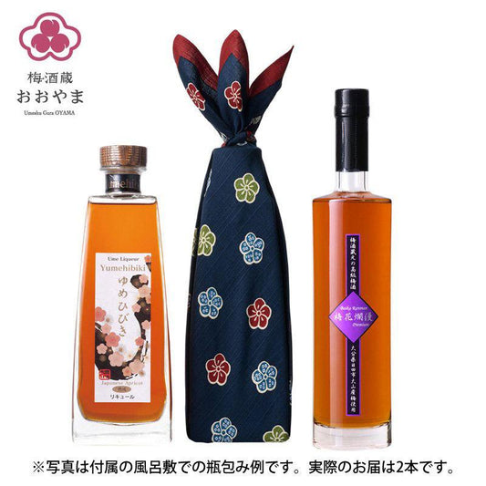 梅酒 樽仕込 高級梅酒 ゆめひびき 500ml 梅花爛漫 500ml 【各１本】 梅ギフト箱入り ギフト プレゼント