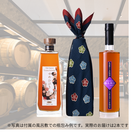 梅酒 樽仕込 高級梅酒 ゆめひびき 500ml 梅花爛漫 500ml 【各１本】 梅ギフト箱入り ギフト プレゼント