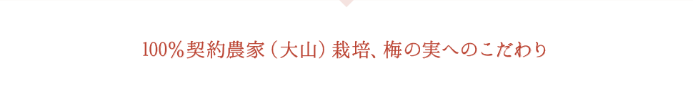 100%契約農家(大山)栽培、梅の実へのこだわり