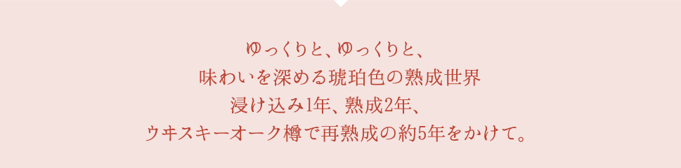 ゆっくりと、ゆっくりと、味わいを深める琥珀色の熟成世界 浸け込み1年、熟成2年、ウヰスキーオーク樽で再熟成の約5年をかけて。