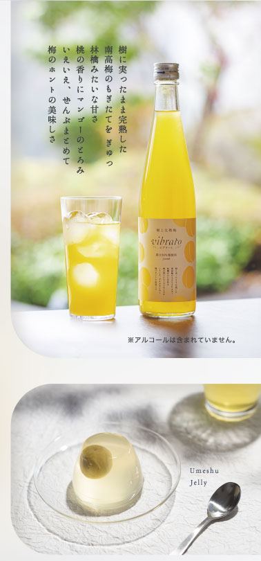 極上完熟梅ビブラート　樹に実ったまま完熟した南高梅のもぎたてをぎゅっ　林檎みたいな甘さ　桃の香りにマンゴーのとろみ　いえいえ、ぜんぶまとめて　梅のホントの美味しさ　※アルコールは含まれていません。