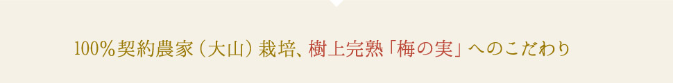 100%契約農家(大山)栽培、樹上完熟梅の実へのこだわり