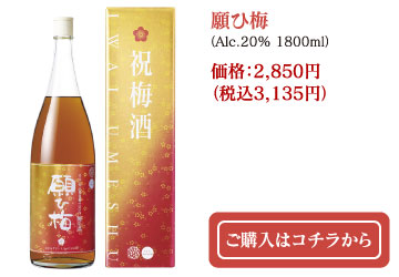 願ひ梅（Alc.20% 1800ml）価格：2,850円（税込3,135円）　ご購入はコチラから