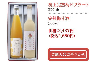 極上完熟梅ビブラート(500ml)・完熟梅甘酒(500ml)　価格：2,437円（税込2,680円）ご購入はコチラから